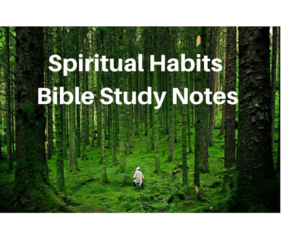 spiritual growth bible study guide