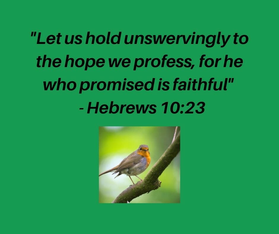 hebrews-10-23-grace-on-parade